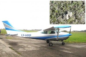 Radę – nelieskite: Lietuvoje bus išmėtyta pusė milijono jaukų su vakcinomis