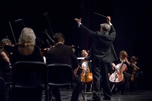 Lietuviai ir ukrainiečiai muzikos ir šokio kalba skelbs taikos žinią