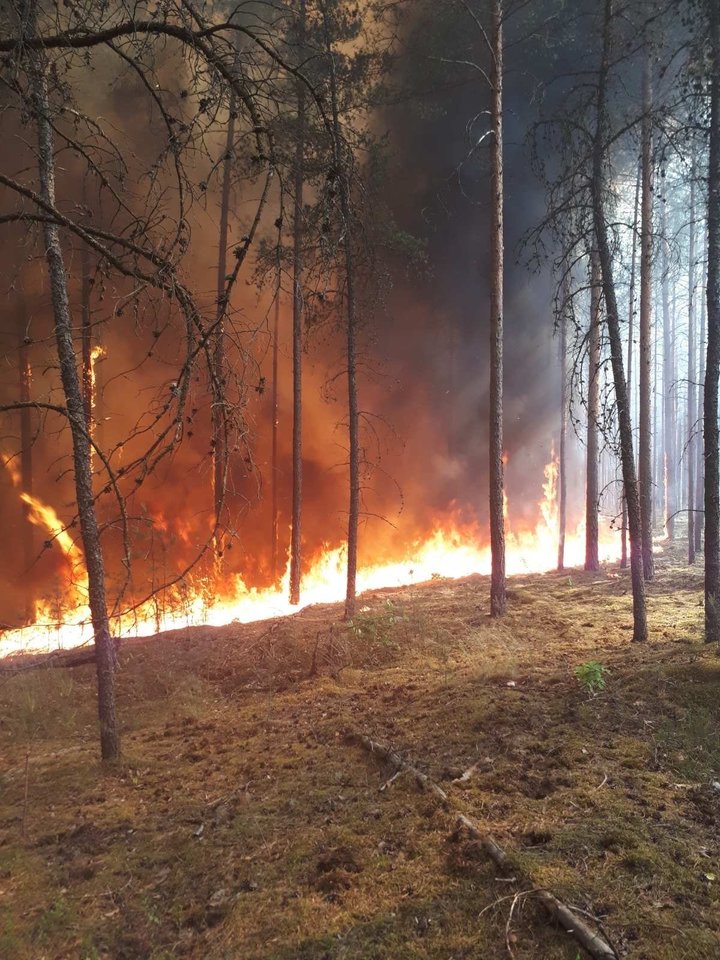 Gaisrų sezonas Lietuvoje jau prasidėjo, o šalyje vyraujantys sausi orai ir vis kaitrėjanti saulė sudaro palankias sąlygas gaisrams kilti.<br>VMU nuotr. 
