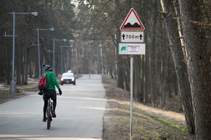 Vingio parke įsigalioja laikini eismo ribojimai – kviečiama saugoti migruojančias varles