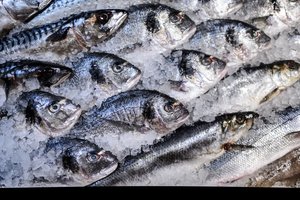 Utenos turgavietėse VMVT nedelsiant uždraudė prekiautojų veiklą: pardavinėjo ledu apipiltą gyvą žuvį