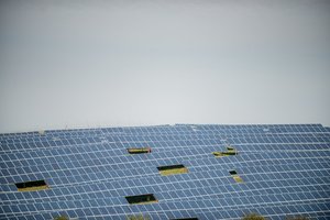 Kone pusė apklaustų lietuvių investuotų į saulės elektrinę, tik turi vieną sąlygą