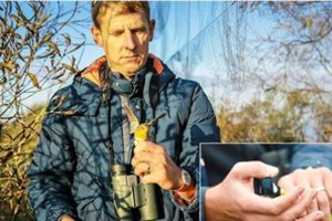 Grįžta paukščiai: kur jais grožėtis ir kokios žmogaus pagalbos jiems reikia