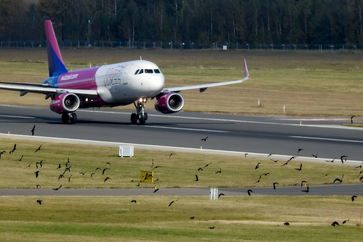 „Wizz Air“ atnaujino skrydžių žemėlapį.<br>V.Ščiavinsko nuotr.