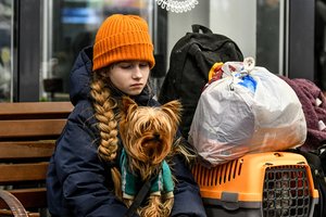 Augintiniai iš Ukrainos: laikymo taisyklės bei galimos rizikos