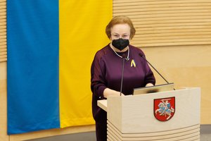 Ryškėja nuomonių skirtumai ruošiant susitarimą dėl užsienio politikos: lengva nebus