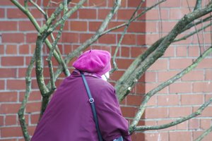 Pensininkės į butą įsileista maloni viešnia per akimirką virto žvėrimi