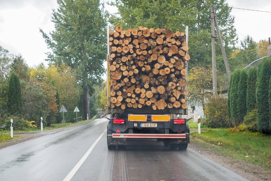 Diskusijos dėl miškų ateities vyksta jau daugiau nei metus, o sprendimo jokio: vieni nori kirsti, kiti – saugoti
