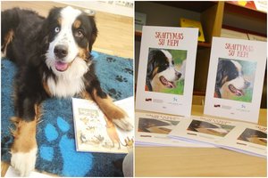Berno zenenhundė Hepi padėjo vaikams prisijaukinti knygas