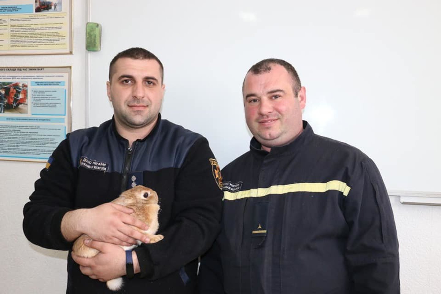 Tai – Lucky, triušis Charkovo, kurį išgelbėjo ugniagesiai.<br> Ukrainos ugniagesių nuotr.