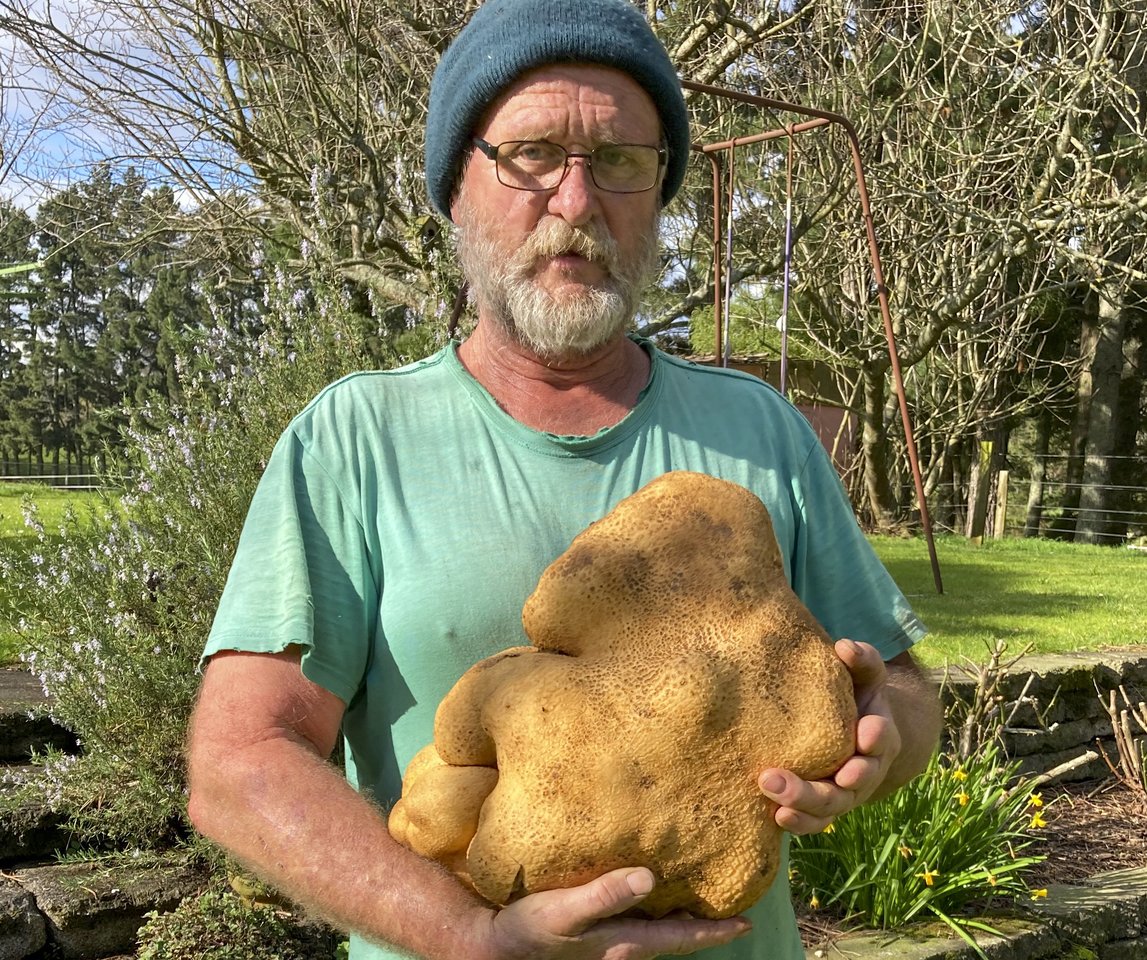 Ilgametis ūkininkas C.Craigas-Brownas Dugą rado tvarkydamas savo sodą.<br>AP/Scanpix
