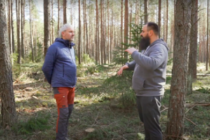 Miško valymas, tvarkymas, kirtimas – nuodėmė ar būtinybė?