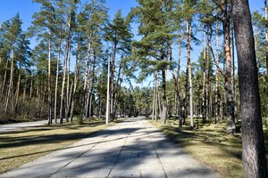 Kapavietės užsipildo greitai, esamų užtektų tik porai metų: plės kapines šalia Ukmergės
