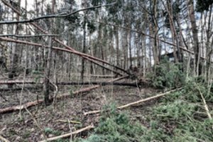 Darbinga para ugniagesiams: masiškai degė pievos, vėjas vertė medžius, plėšė stogus