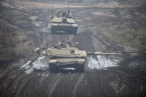 Lietuvos Achilo kulnu vadinamos vietos gynybos stiprinimo idėją įvertino skirtingai