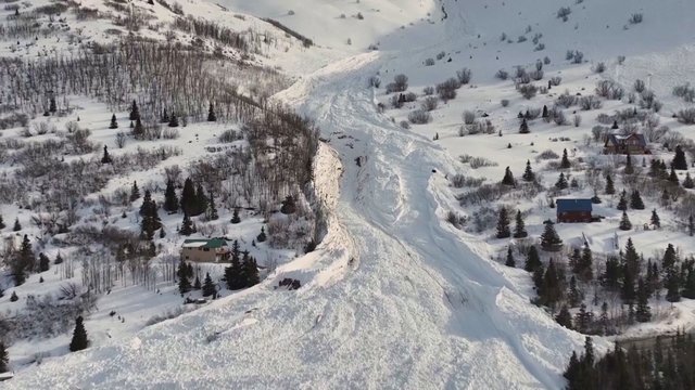 Užfiksuotas Aliaskoje kilusios sniego griūties mastas: lavina kone palaidojo kalno šlaitą