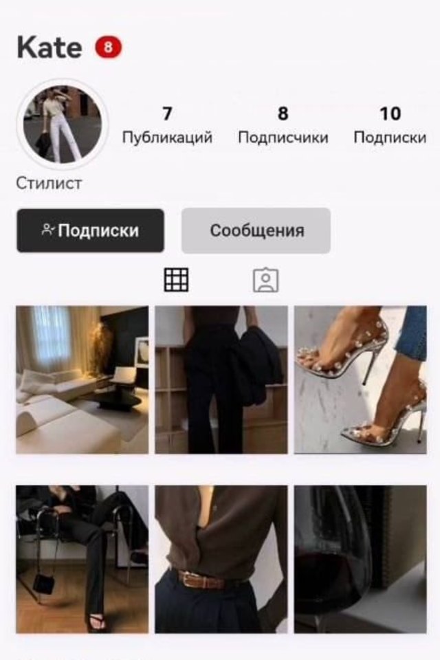  Anot „Unian“, rusai nusprendė nesivarginti ir beveik visiškai nukopijavo originalų „Instagram“ dizainą.<br> Ekrano nuotr.