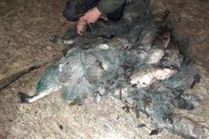 Aplinkosaugininkams įkliuvo du tinklininkai: baudžiami jau nebe pirmą kartą