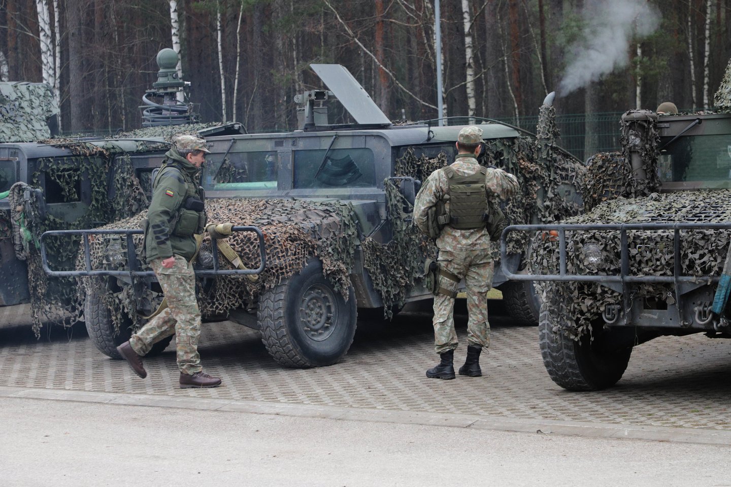 Liko paskutinis žingsnis iki griežtesnės Lietuvos karinių įsigijimų kontrolės.<br>D.Labučio/ELTOS nuotr.