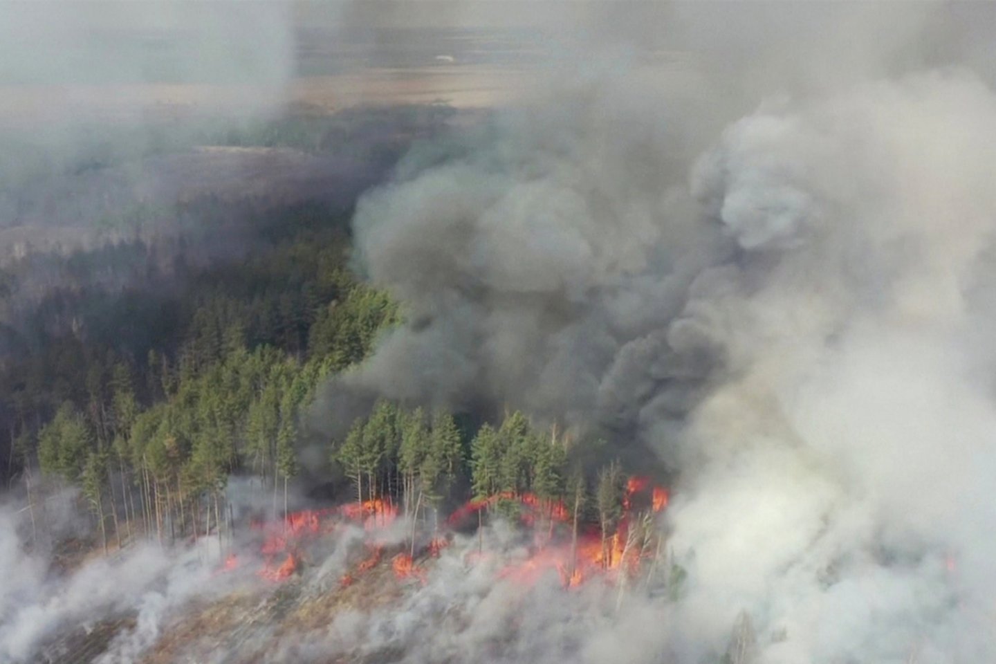  Asociatyvinė nuotrauka, miško gaisras Černobylio zonoje 2020 m. balandžio 12 d.<br> Reuters / Scanpix nuotr.