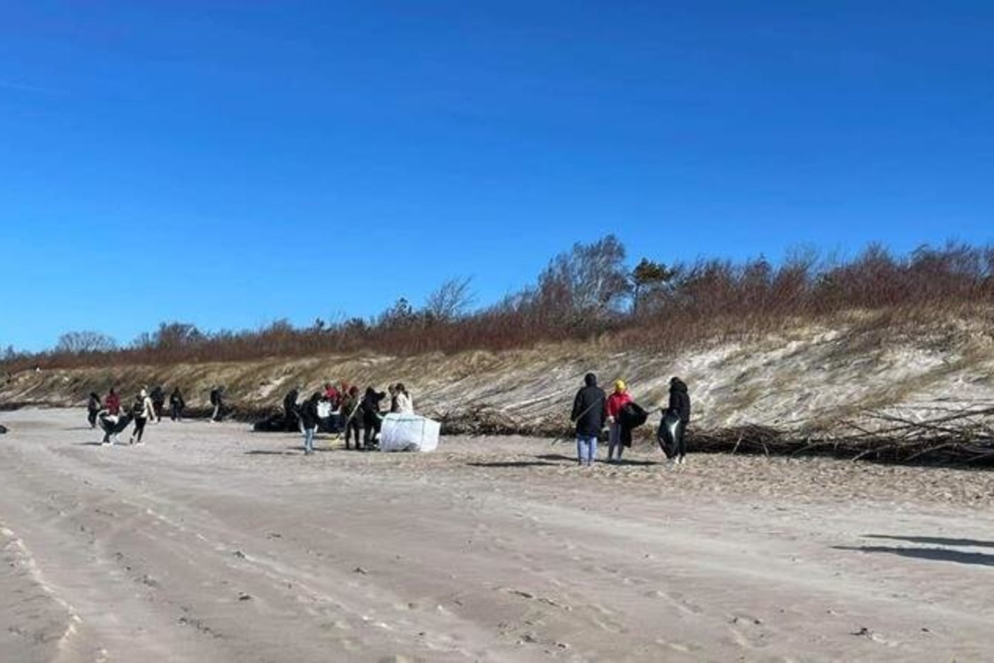 Savaitgalį pajūrio tvarkymo akcijoje dalyvavo per 1 000 žmonių.<br>BĮ „Klaipėdos paplūdimiai“/ ve.lt nuotr