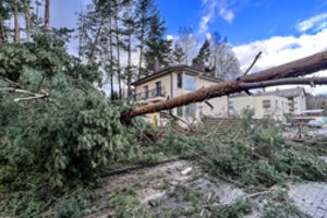 Vėjas vėl niokoja žmonių turtą: nuostoliai gali siekti 450 tūkst. eurų