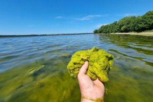 Mokslininkas apie nerimą dėl Kuršių marių: jei niekas nesikeis, Palangoje maudytis negalėsime