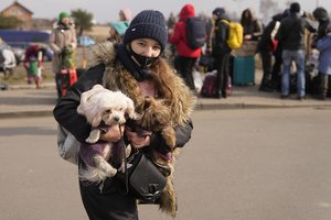 Norintiems gelbėti beglobius gyvūnus iš Ukrainos – VMVT įspėjimas: gresia atitinkamos sankcijos