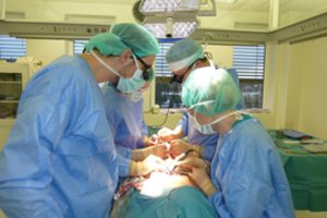 Plastinei ir rekonstrukcinei chirurgijai Lietuvoje – 40 metų