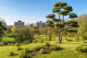 „Sodinau, tvarkiau, nepavyko – padėkit!", – išgirdusi tokį prašymą aplinkos dizainerė skaičiuoja, kiek tai kainuos