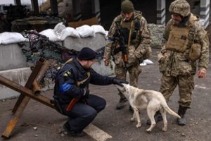 Augintinių evakuacija iš Ukrainos stringa VMVT: beveik visiems gresia badas arba žūtis