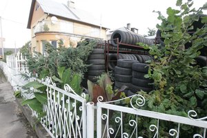 Vaismedžiai ir net gėlynai gali rimtai supykdyti kaimynus: yra taisyklių, kurias verta žinoti