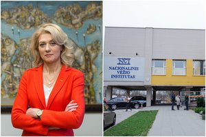 Buvusi laikinoji NVI vadovė palieka darbą – sako buvusi „kliuvinys, kurį teko šalinti“