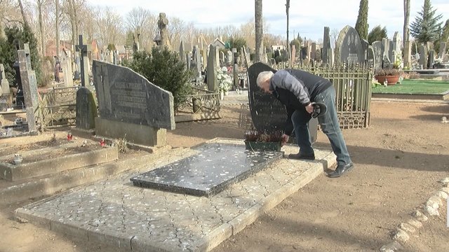 Panevėžio rajono gyventojai skundžiasi – kapines niokoja paukščiai: kaltę verčia ir seniūnijai