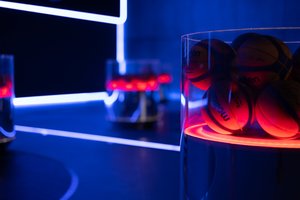 Įkurta hibridinio sporto varžybas rengianti lyga: darbo vaisius parodys vasaros pabaigoje