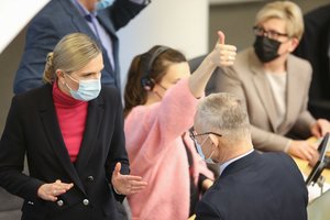 Beveik pusmetį rengta reforma pagaliau peržengė Seimo slenkstį: sako, kad skeptiškai įvertino ir I. Šimonytė