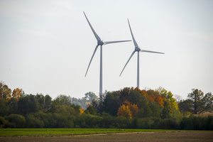 Koją verslui kiša biurokratija: galėtų investuoti 1,6 mlrd. eurų – metų metais nesulaukia leidimų statyboms