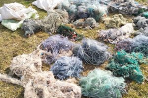 Pažeidėjui teks atsisveikinti su visu arsenalu tinklų: gresia ir bauda