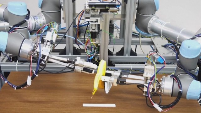 Japonijoje – bananą gebantis nulupti robotas: tokiam tikslumui sukurti prireikė net 13 valandų darbo