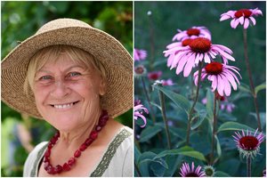 Žolininkė Otilija pasidalijo receptais pavasariui: gamtoje slypi natūralūs sveikatos turtai