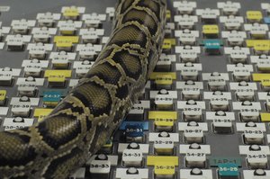 Lietuvių režisierių filmai – viename įtakingiausių pasaulio kino renginių HOT DOCS