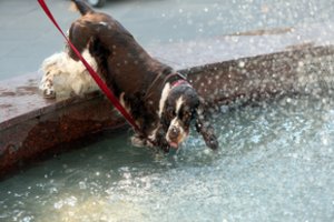 Klimato kaitos padariniai: iki 2050 m. Londono klimatas bus kaip Barselonos