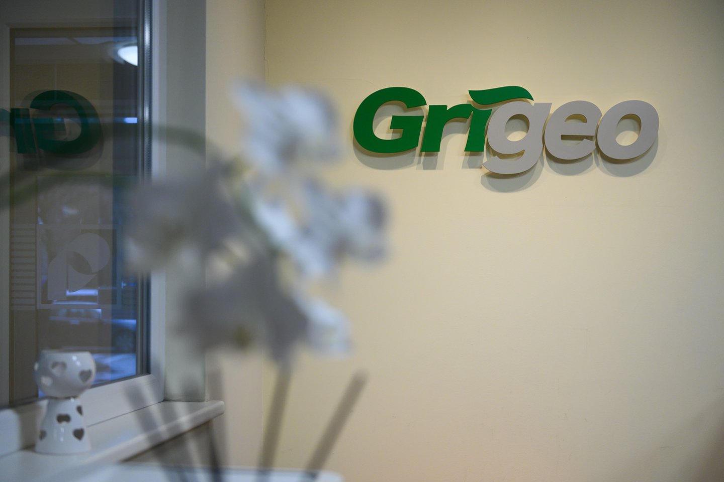„Grigeo“ 2021 m. finansiniai rezultatai: apyvarta augo ketvirtadaliu, akcininkams siūloma išmokėti 6,5 mln. eurų dividendų.<br>V.Skaraičio nuotr.