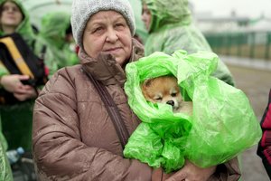 Lietuvoje – jau 550 iš Ukrainos išgelbėtų augintinių: VMVT patikslino jų įvežimo tvarką