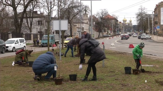 Vilniuje prasidėjo augalų sodinimo darbai: tikslui pasiekti kasmet prireiks poros milijonų eurų