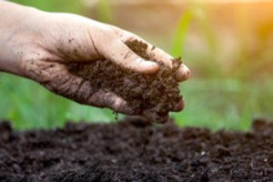 Įdomioji pamoka: apie gyvąją planetos odą ir kaip pradėti gelbėti pasaulį