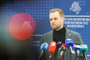 Konservatoriams auginant reitingus – politologės verdiktas: G. Landsbergis turėtų susirūpinti