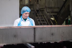 Ukrainietės džiaugiasi greitai įsidarbinusios Kėdainiuose: dirbdamos išsivaduoja iš sunkių minčių