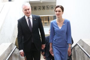 V. Čmilytė-Nielsen po V. Zelenskio kalbos lietuviams: „Reikia kalbėti ne apie baimę, o apie pasirengimą“