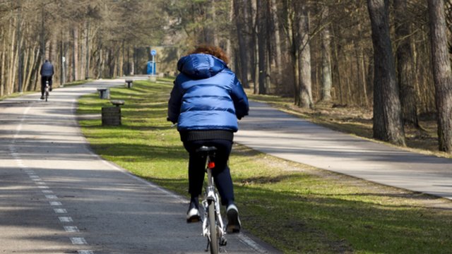 Nors antrąja savaitės pusę saulė džiugins rečiau, tačiau oras šils kone iki 20 laipsnių